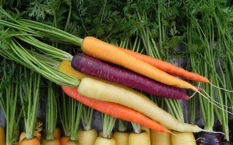 Những thực phẩm thô mang lại lợi ích cho sức khỏe